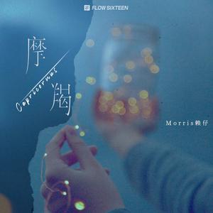 欧美极品AAAAABBBB
