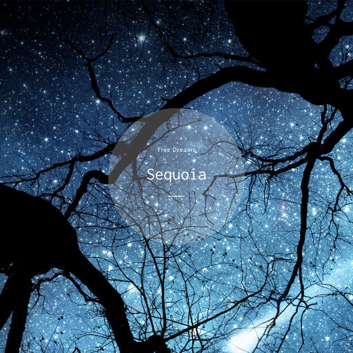 欧美极品AAAAABBBB
